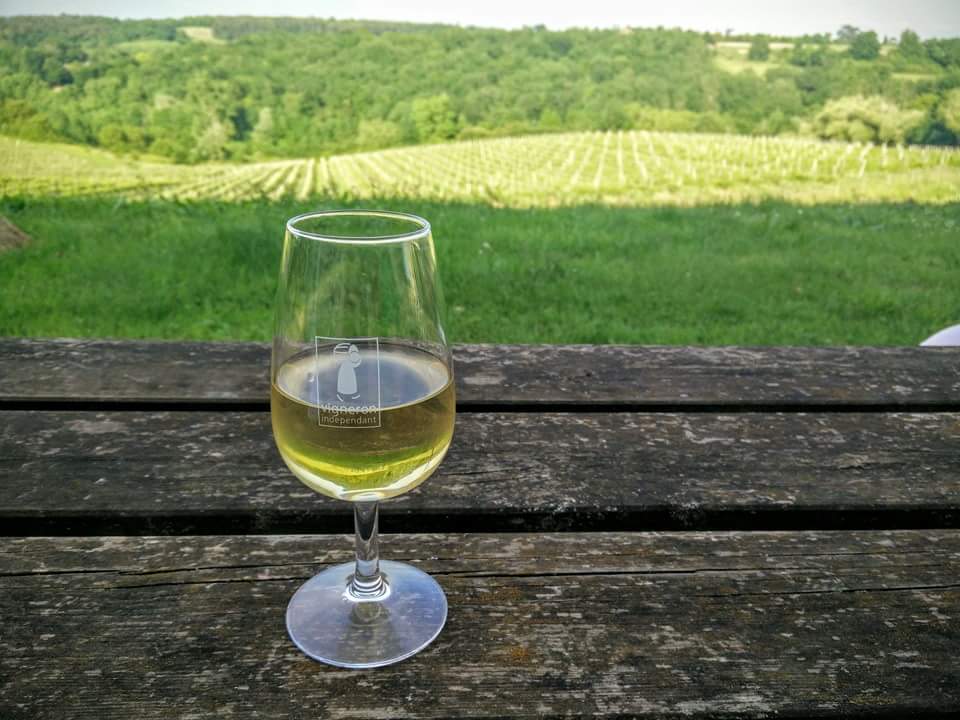 verre de blanc sec vue vignes